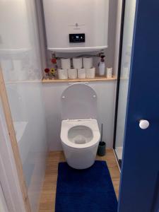 a small bathroom with a toilet with a blue rug at Studio Tehani in Quiberon