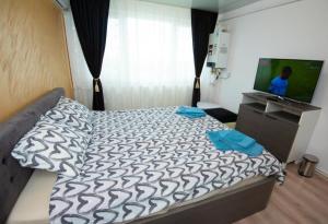 - une chambre avec un lit, une commode et une télévision dans l'établissement Studio zona Țiglina Flori, à Galaţi