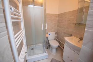 a bathroom with a shower and a toilet and a sink at Studio zona Țiglina Flori in Galaţi