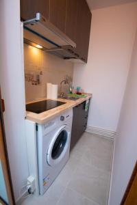 a kitchen with a washing machine and a sink at Studio zona Țiglina Flori in Galaţi