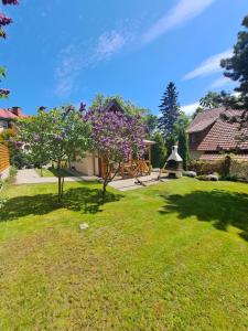 a yard with two trees with purple flowers at Domek Antonówka in Szklarska Poręba