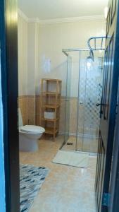 uma casa de banho com um WC e uma cabina de duche em vidro. em Spacious Villa with Sea and Mountain View em Kemer