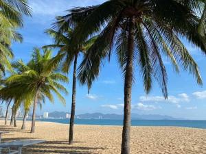 un gruppo di palme su una spiaggia di Sea Pearl Hotel a Nha Trang