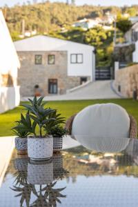 two potted plants sitting on a table on a patio at Casa Gondiga in Roriz