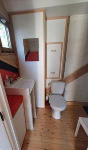 a small bathroom with a toilet and a sink at Tout le confort au milieu d'un parc botanique in Noyal-Muzillac