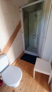 a bathroom with a shower with a toilet and a stool at Tout le confort au milieu d'un parc botanique in Noyal-Muzillac