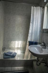 uma casa de banho com um chuveiro, um lavatório e uma banheira em Anna Vendégház Eger em Eger