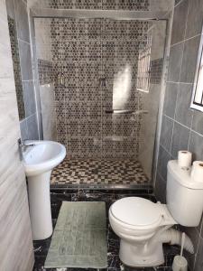 La salle de bains est pourvue de toilettes, d'un lavabo et d'une douche. dans l'établissement Soma Guesthouse, à Groblersdal