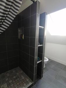 y baño con ducha de azulejos negros y aseo. en Studio plein de charme - 2, en Orléans