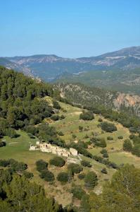un campo abierto con árboles y casas en una colina en El Rincón de Mariela by Travel Home, en Segura de la Sierra