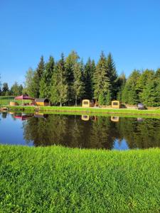 ein Wasserkörper mit Gras und Bäumen im Hintergrund in der Unterkunft Brīvdienu namiņi Kalnozoli in Indrāni