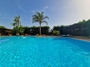 une grande piscine bleue avec des palmiers en arrière-plan dans l'établissement Villa Sara, à Borgo Bonsignore