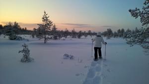 a person is cross country skiing in the snow at Villa Kanger in Kuusamo