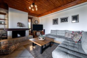 ein Wohnzimmer mit einem Sofa und einem Kamin in der Unterkunft Villa Vicanti in Mesokhórion