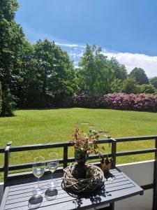 Zahrada ubytování Ferienwohnung Frau Hansen + 26 fotografií