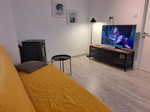 Et tv og/eller underholdning på Apartment Grandić