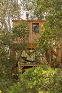 a tree house with a deck in the trees at Soul Farm Algarve - Glamping & Farm Houses in Aljezur
