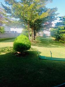 アンタナナリボにあるB&B/chambres d'hôtesの庭の芝生に座る緑のベンチ