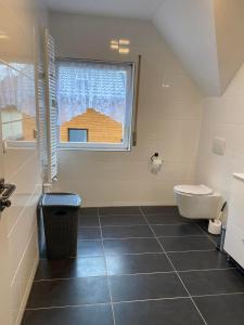 a bathroom with a toilet and a sink and a window at Ferienhaus Dierdorf in Dierdorf