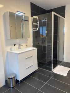 a bathroom with a white sink and a shower at Ferienhaus Dierdorf in Dierdorf +10 photos
