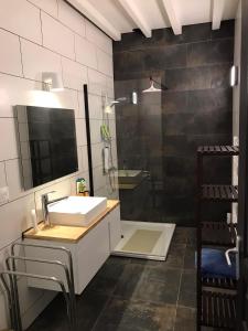 een badkamer met een wastafel en een douche bij Villa Verger vakantiewoning 12 personen in Cilly