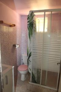 a bathroom with a toilet and a glass shower at Villa verte in Le Robert
