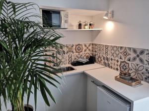 a kitchen with a potted plant next to a counter at la placette in Hérépian
