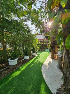 a green lawn with trees and plants in a yard at Everest Resort Samui - SHA Plus in Mae Nam