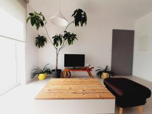 sala de estar con mesa de centro de madera y plantas en Green Bee Apartment, en Lesce