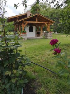 ogród z altaną na dziedzińcu w obiekcie Casa Livada Bunicii w mieście Târgu Ocna