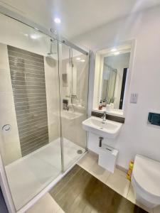 ein Bad mit einer Dusche, einem Waschbecken und einem WC in der Unterkunft Amazing City Centre 1 bedroom Apartment with Balcony LGBTQ Friendly in Belfast