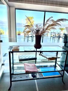 a glass table with a potted plant on top of it at Thalassa Hotel in Paleros