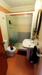ein Bad mit einem WC, einem Waschbecken und einer Dusche in der Unterkunft Santa Polita in Santa Pola