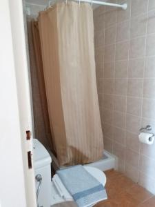 a bathroom with a shower curtain and a toilet at Ta Adelfia in Pylos