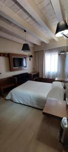 ブルゴスにあるホテル セントロ ロス ブラセロスのベッドルーム1室(ベッド1台、壁掛けテレビ付)