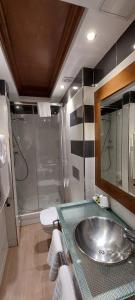 La salle de bains est pourvue d'un lavabo et d'une douche. dans l'établissement Hotel Centro Los Braseros, à Burgos