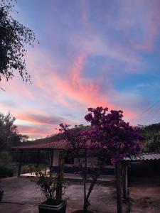 un cielo con un árbol púrpura delante de una casa en Casa de campo com piscina a 2 min de cunha en Cunha
