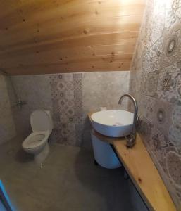 ein Bad mit einem Waschbecken und einem WC in der Unterkunft Happy days house in Shuakhevi