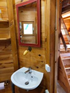 a bathroom with a sink and a mirror at Chalet 1 chambre in Chenecey-Buillon