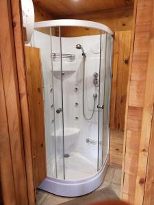 a shower with a glass door in a bathroom at Chalet 1 chambre in Chenecey-Buillon