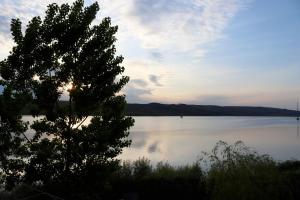 Blick auf einen See mit einem Baum im Vordergrund in der Unterkunft DNK Residence in Simila