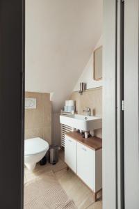 a bathroom with a toilet and a sink at Greatview Banensium Apartment in Banská Štiavnica