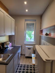 Η κουζίνα ή μικρή κουζίνα στο Raul Apartman