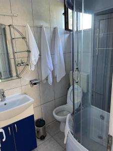 Et badeværelse på Casa de Vacanță Topaz + 34 billeder