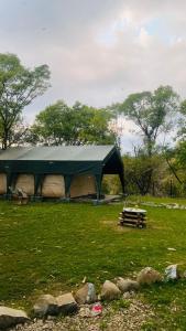 a large green tent in a field with trees at H2H Bir l Nature Camps in Bīr