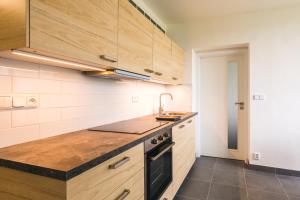 Kuchyň nebo kuchyňský kout v ubytování Apartmány Pěkná 10