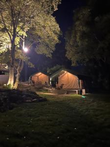 a couple of tents in a park at night at H2H Bir l Nature Camps in Bīr