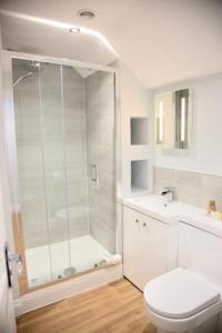 a bathroom with a shower and a toilet and a sink at The Mortimer Arms in Romsey