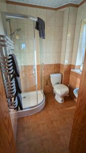 W łazience znajduje się toaleta i przeszklony prysznic. w obiekcie Dom nad Jeziorem w mieście Szczedrzyk