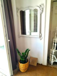 a plant in a basket in front of a mirror at Casa Marina in Forio d'Ischia +7 photos